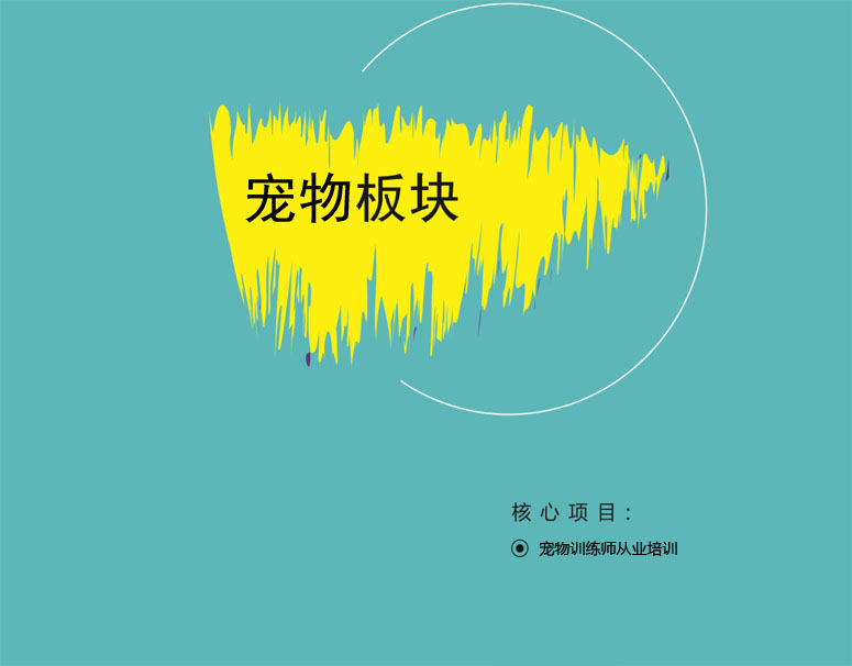 pet副本01.jpg