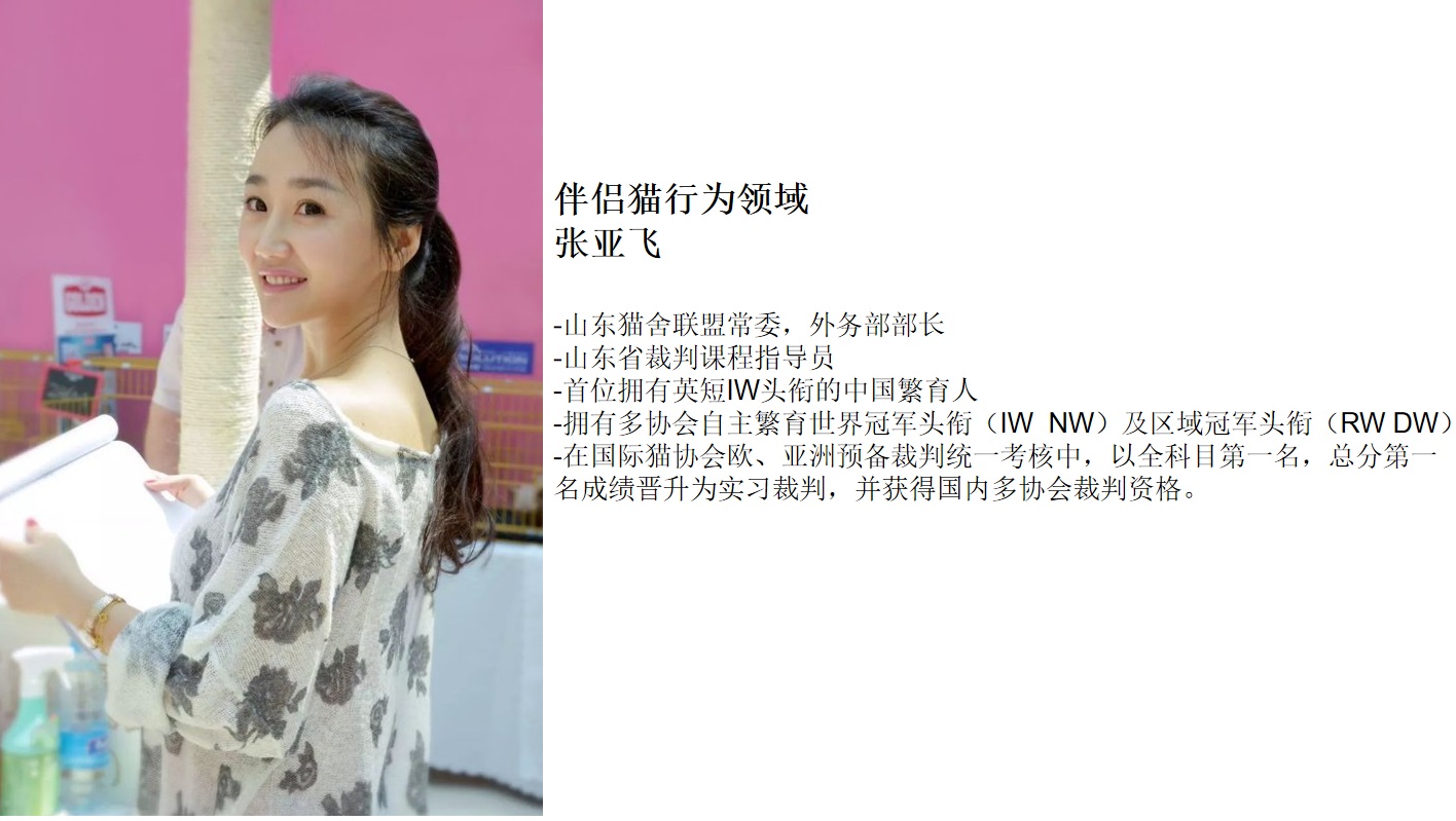 张亚飞.jpg