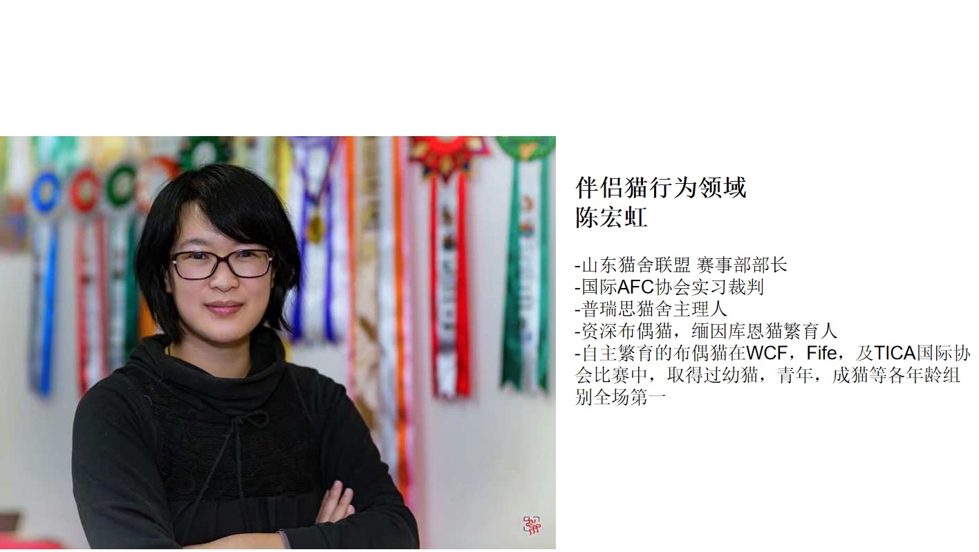 陈宏虹.jpg