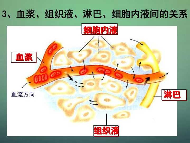 微信图片_20211104110531