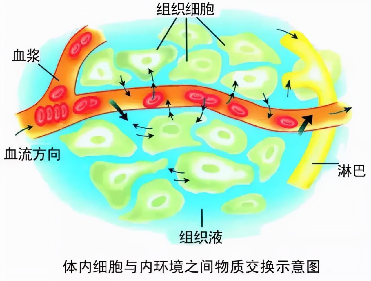 微信图片_20211104110538