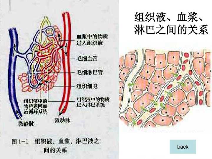 微信图片_20211104110543