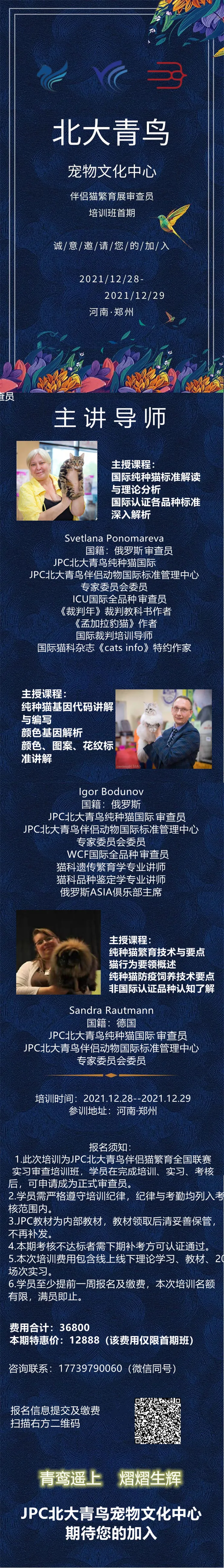 无标题